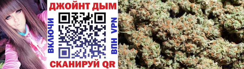 Каннабис сатива  где купить наркоту  Инза 